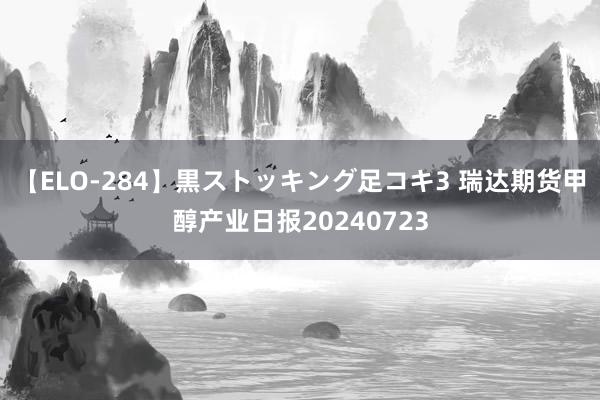 【ELO-284】黒ストッキング足コキ3 瑞达期货甲醇产业日报20240723