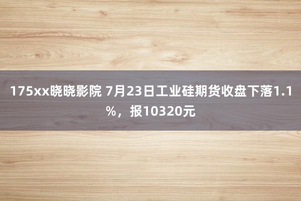 175xx晓晓影院 7月23日工业硅期货收盘下落1.1%，报10320元