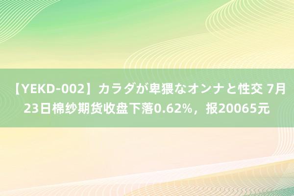 【YEKD-002】カラダが卑猥なオンナと性交 7月23日棉纱期货收盘下落0.62%，报20065元