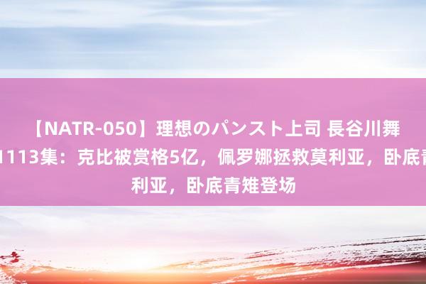 【NATR-050】理想のパンスト上司 長谷川舞 海贼王1113集：克比被赏格5亿，佩罗娜拯救莫利亚，卧底青雉登场