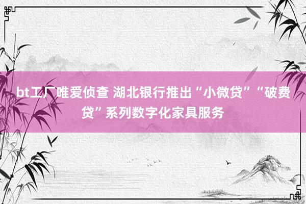 bt工厂唯爱侦查 湖北银行推出“小微贷”“破费贷”系列数字化家具服务