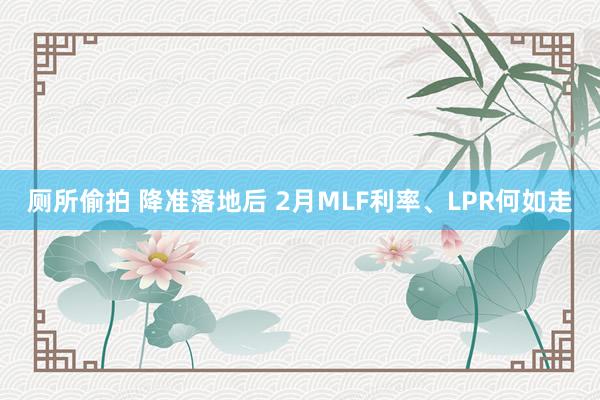 厕所偷拍 降准落地后 2月MLF利率、LPR何如走