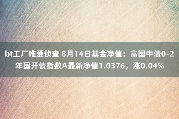 bt工厂唯爱侦查 8月14日基金净值：富国中债0-2年国开债指数A最新净值1.0376，涨0.04%