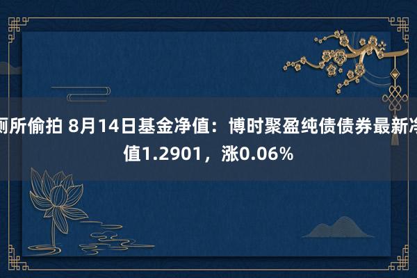 厕所偷拍 8月14日基金净值：博时聚盈纯债债券最新净值1.2901，涨0.06%