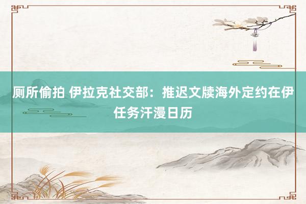 厕所偷拍 伊拉克社交部：推迟文牍海外定约在伊任务汗漫日历