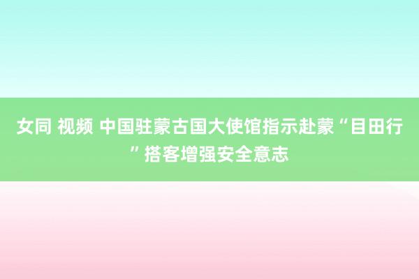 女同 视频 中国驻蒙古国大使馆指示赴蒙“目田行”搭客增强安全意志