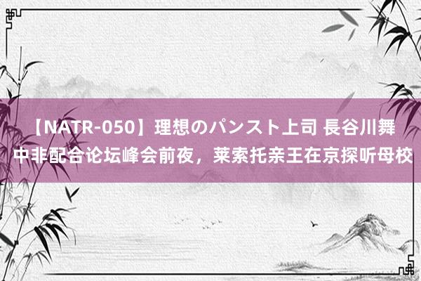 【NATR-050】理想のパンスト上司 長谷川舞 中非配合论坛峰会前夜，莱索托亲王在京探听母校