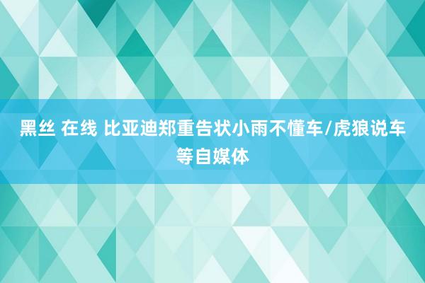 黑丝 在线 比亚迪郑重告状小雨不懂车/虎狼说车等自媒体