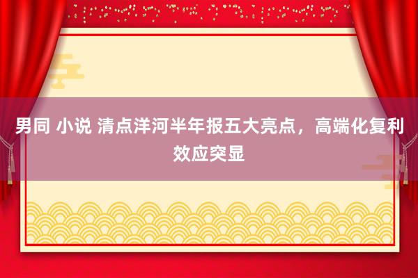 男同 小说 清点洋河半年报五大亮点，高端化复利效应突显