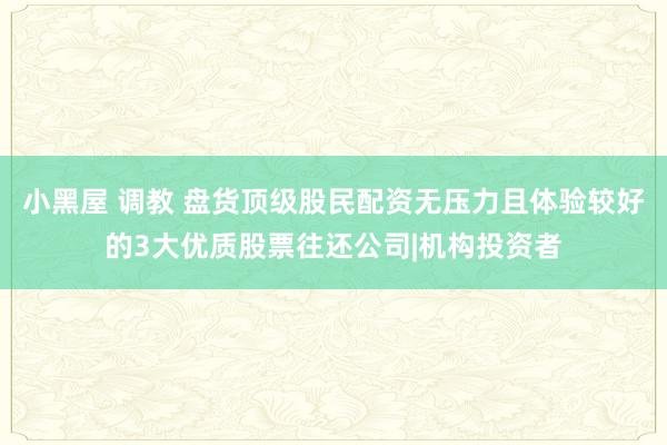 小黑屋 调教 盘货顶级股民配资无压力且体验较好的3大优质股票往还公司|机构投资者