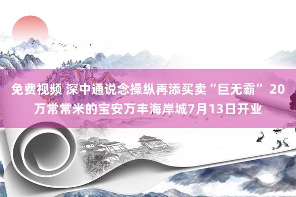 免费视频 深中通说念操纵再添买卖“巨无霸” 20万常常米的宝安万丰海岸城7月13日开业